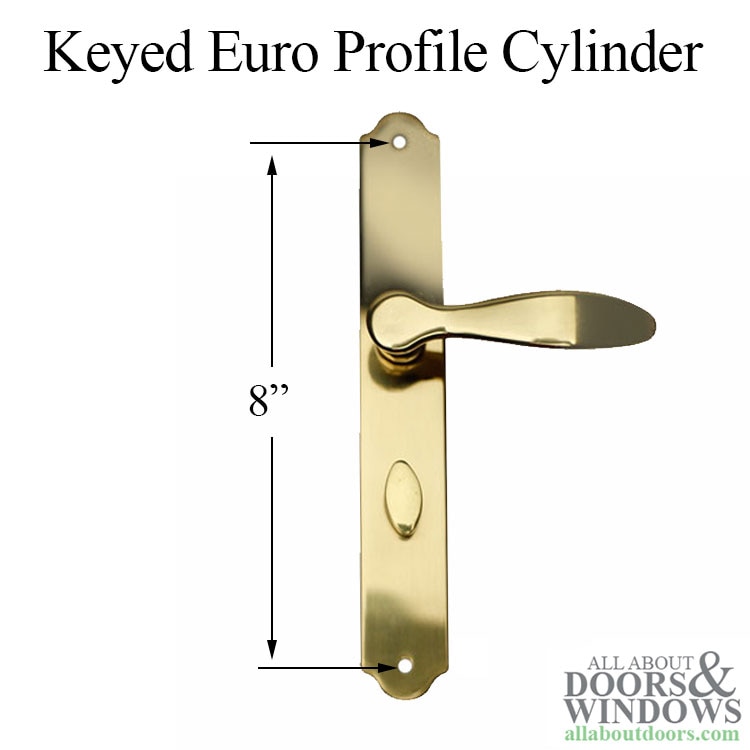 Larson Torino Brass Lever Handle Set