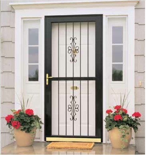 Larson Traditional Security Door Aluminum Frame